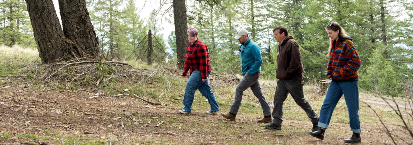 Four people walking on a forest road.